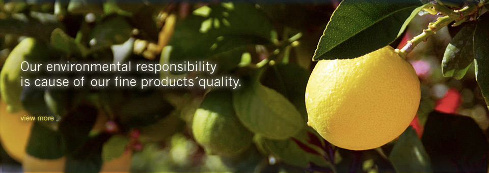 Our environmental responsibility is cause of our fine productsquality.