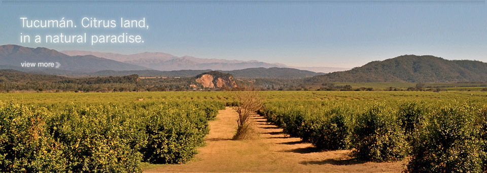 Tucumán. Citrus land, in a natural paradise.