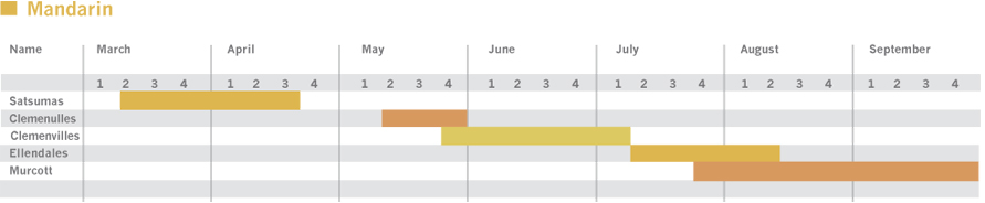 Cronograma de la Mandarina