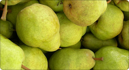 Argentines Pears