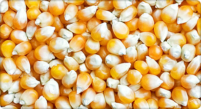 Pop Corn Argentina
